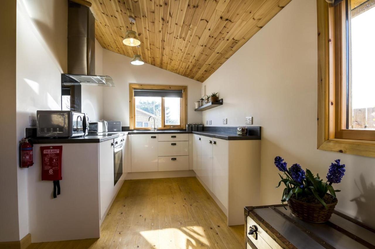 Fern Lodge - 2 Bedroom Log Cabin - Saint Florence - Tenby Extérieur photo